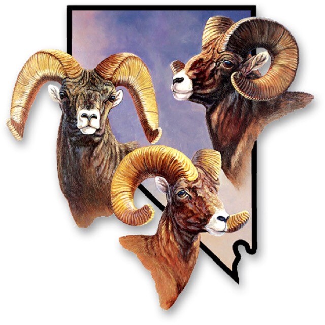 Nevada Bighorns Unlimited